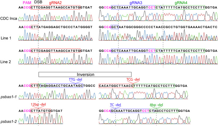 FIGURE 4