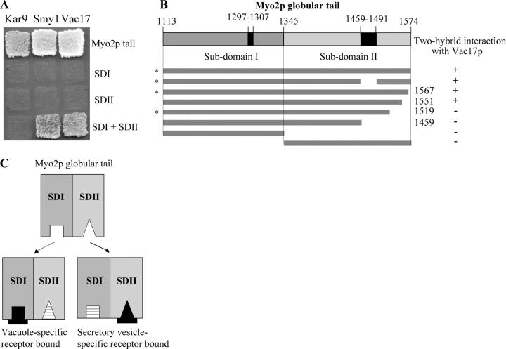 Figure 5.