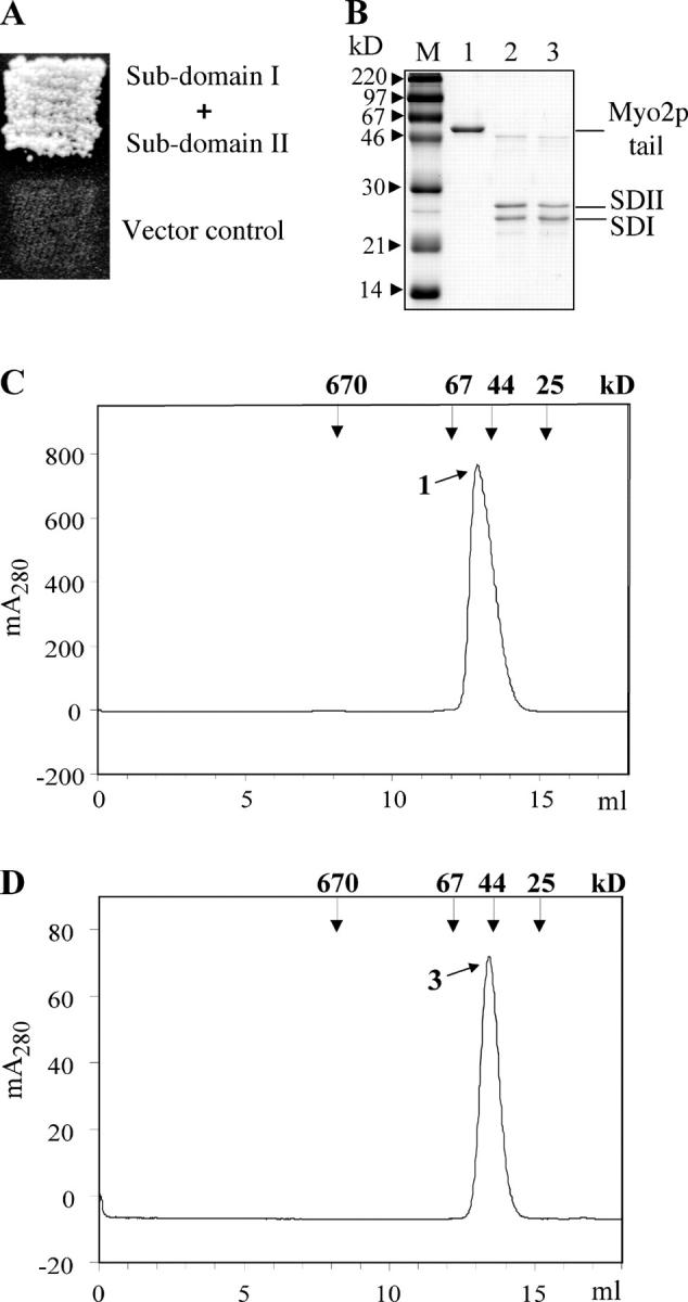 Figure 2.