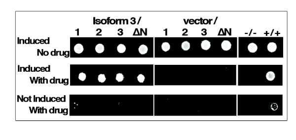 Figure 9