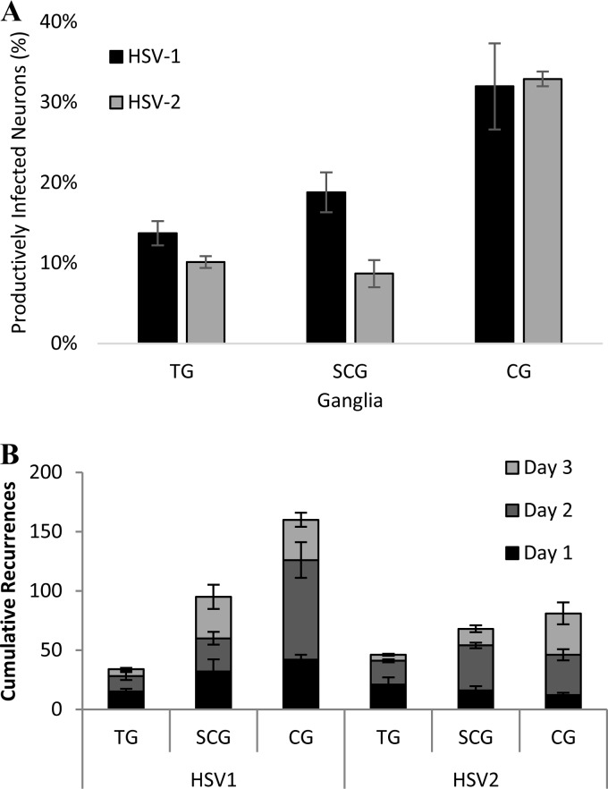 FIG 5