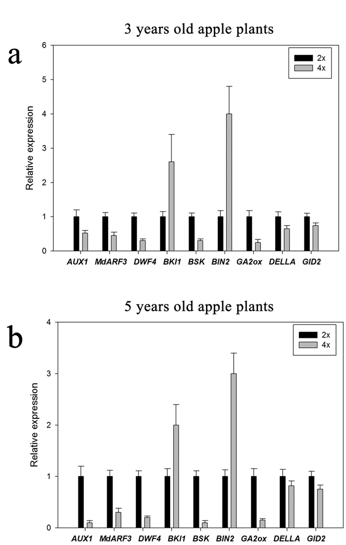 Figure 5