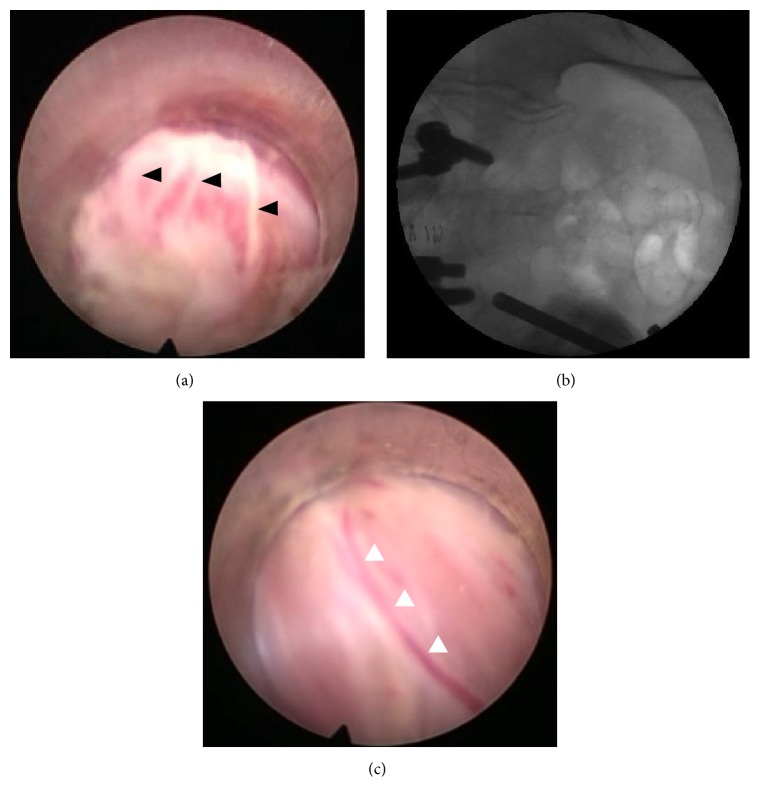 Figure 2