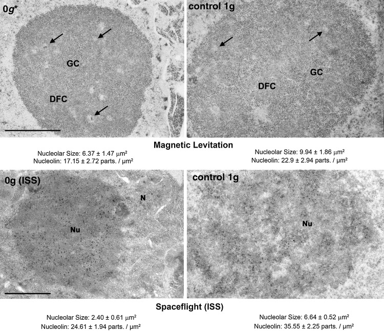 FIG. 4.