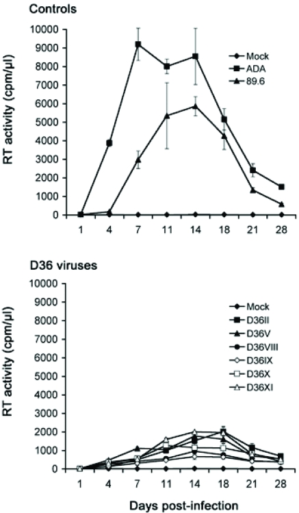 Fig. (2). Replication kinetics in MDM