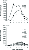 Fig. (2). Replication kinetics in MDM