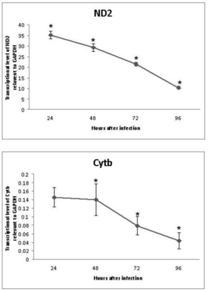 Fig 5