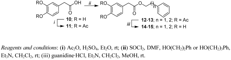 Scheme 2