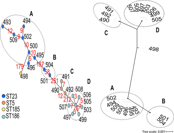 FIG 2