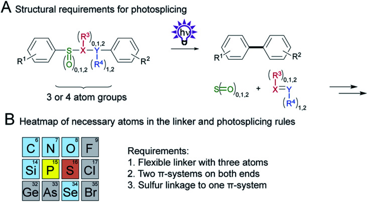 Scheme 8