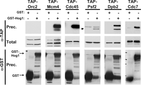 Figure 6.