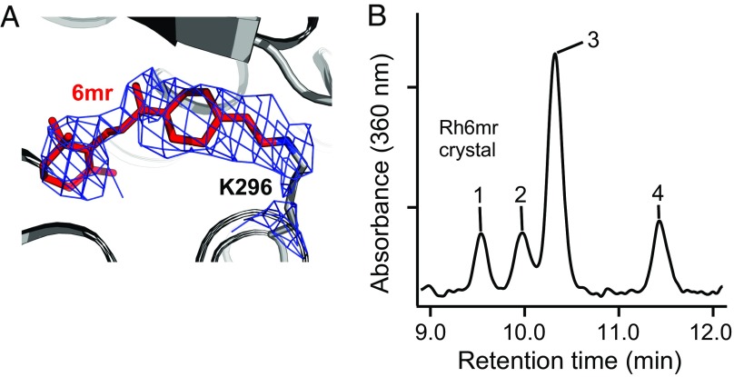 Fig. 4.