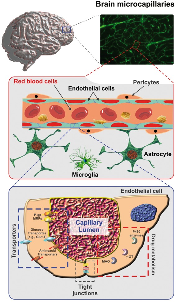 Figure 1.