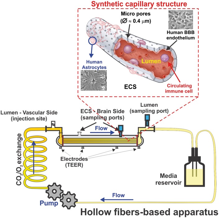 Figure 3.