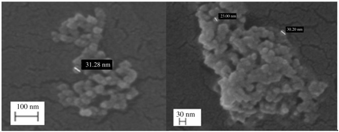 Figure 2. 