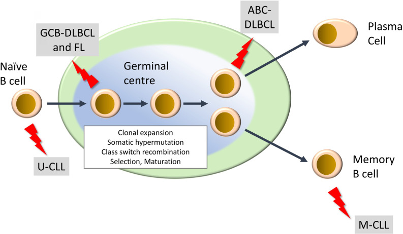 Figure 1.