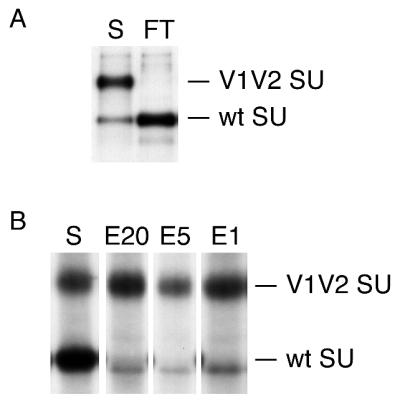 FIG. 7