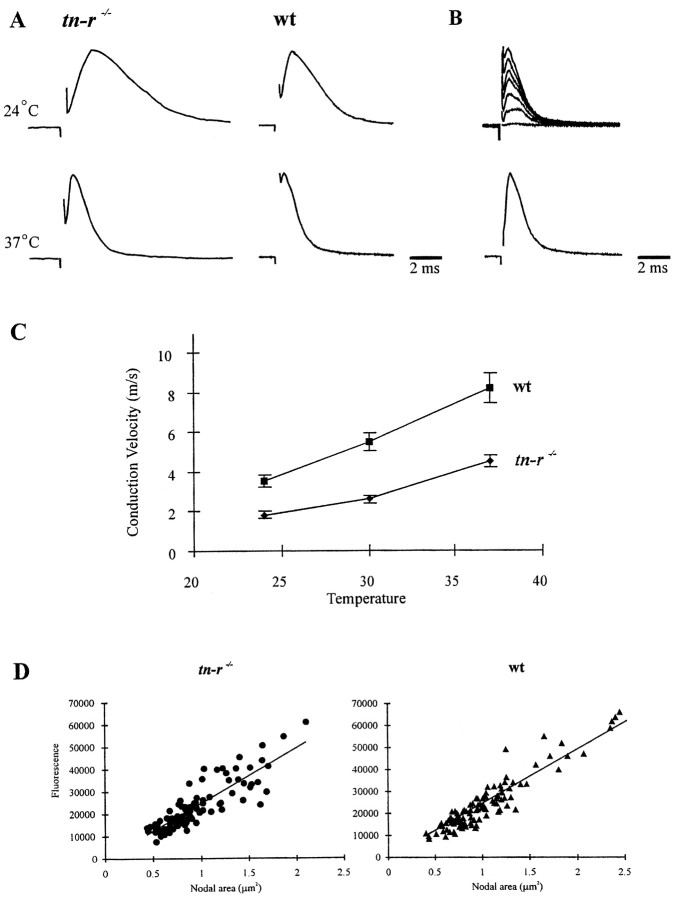 Fig. 10.