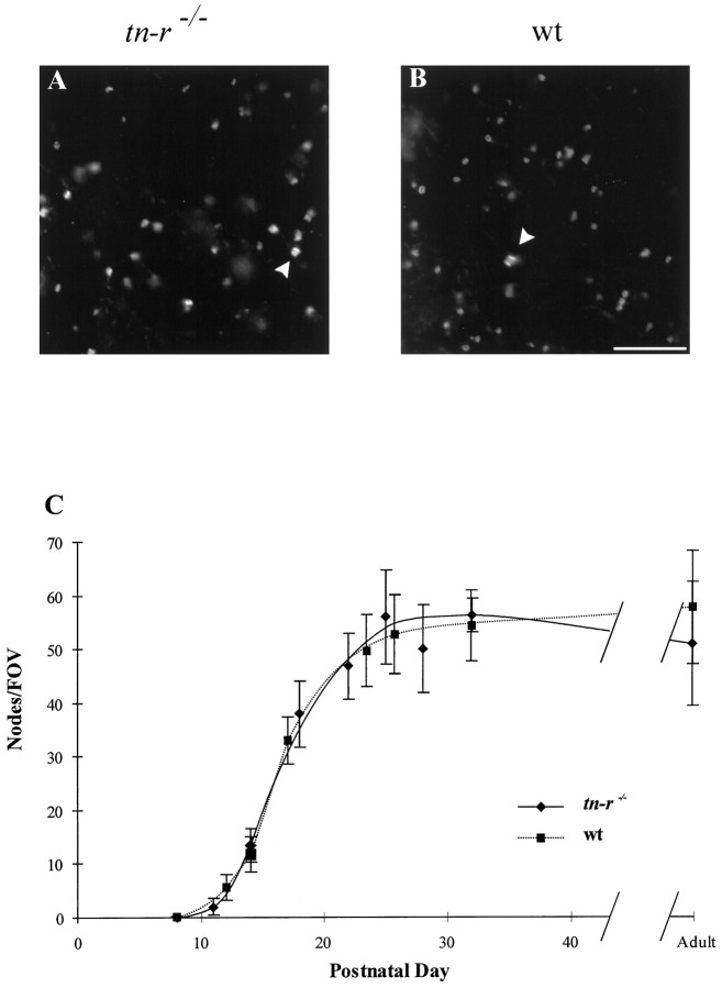 Fig. 9.