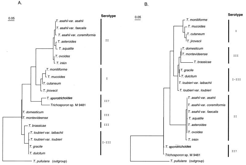 FIG. 6