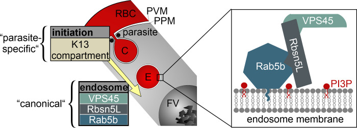 Fig 7