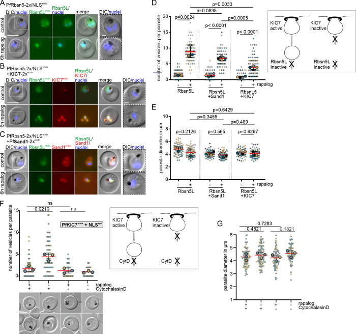 Fig 6