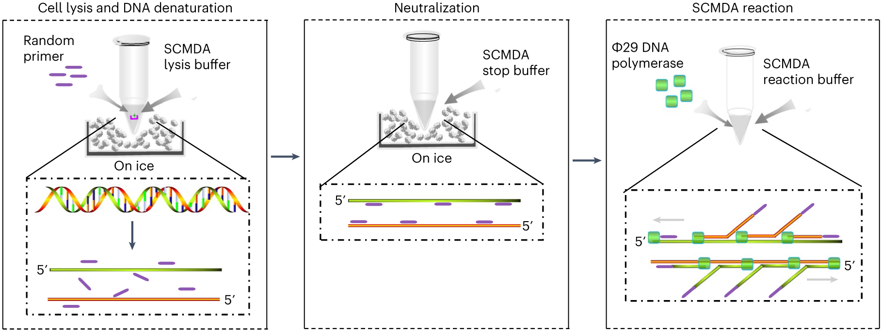 Fig. 2 ∣