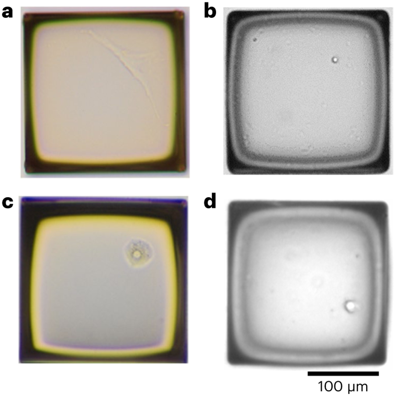 Fig. 5 ∣