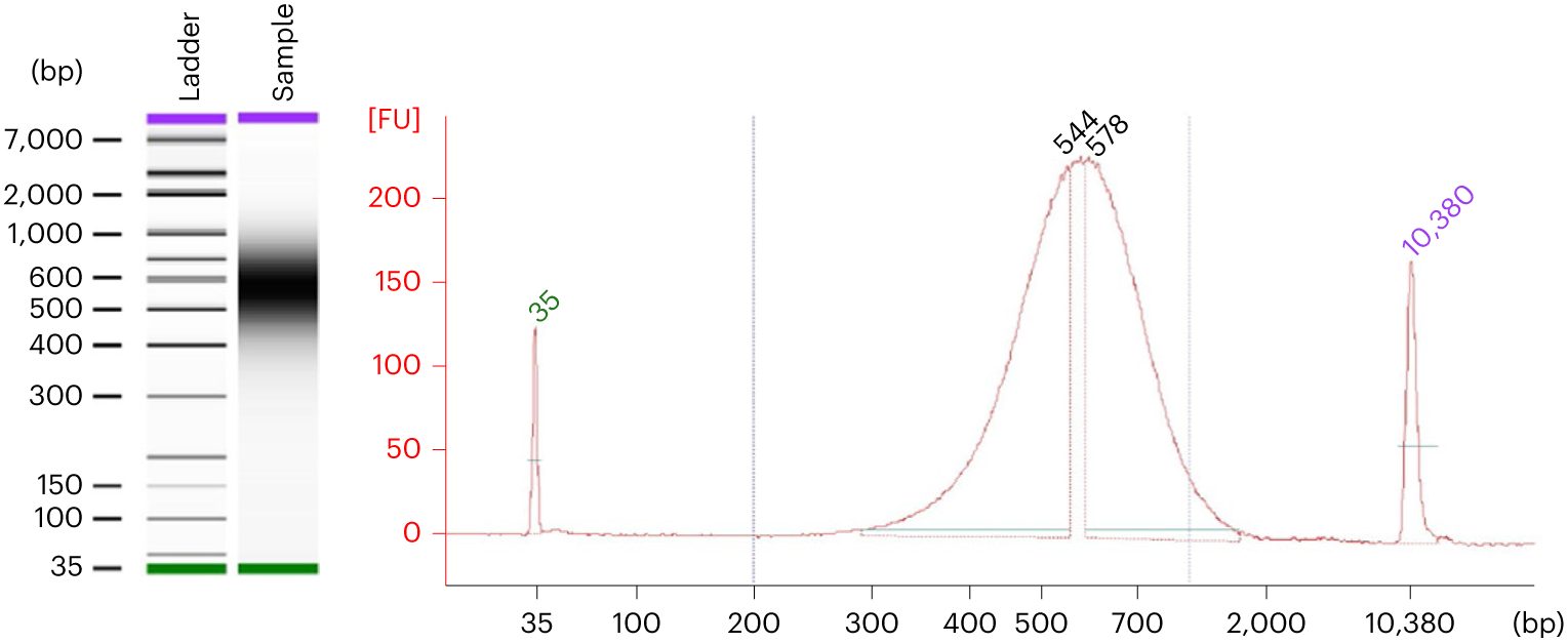 Fig. 7 ∣