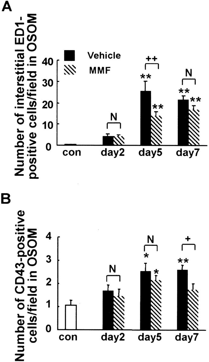 Figure 10.