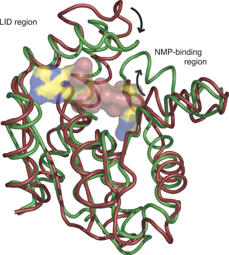 Figure 1.