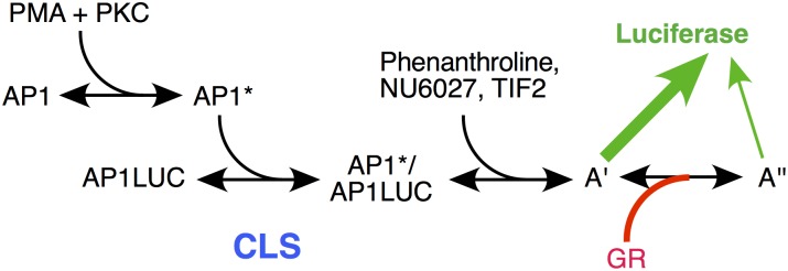 Fig 6