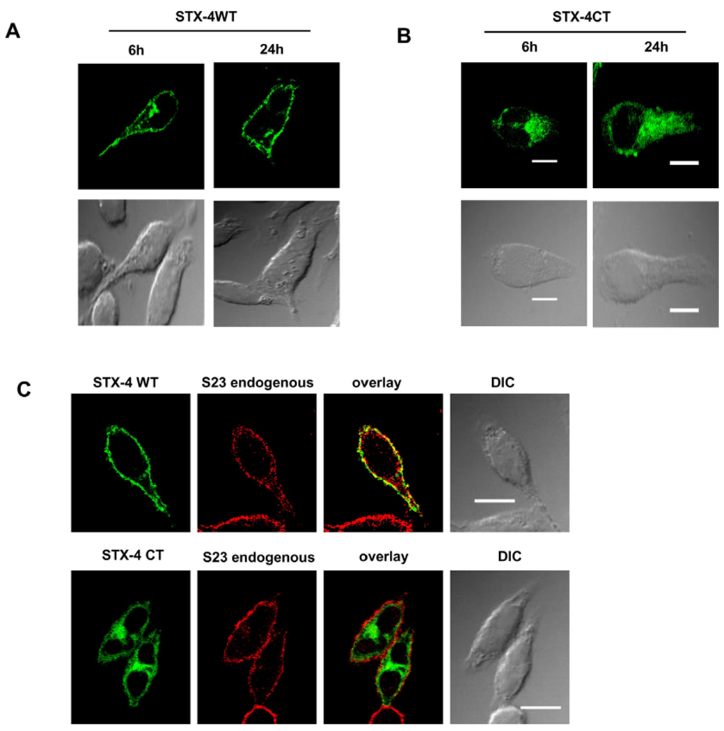 Fig. 8.