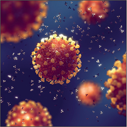 Illustration of a coronavirus particle attacked by antibodies (immunoglobulin). Coronaviruses cause several diseases in humans, including covid-19, SARS and forms of the common cold.