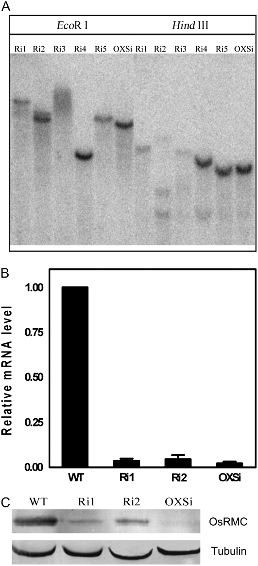 Figure 6.