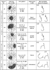 Fig. (2)