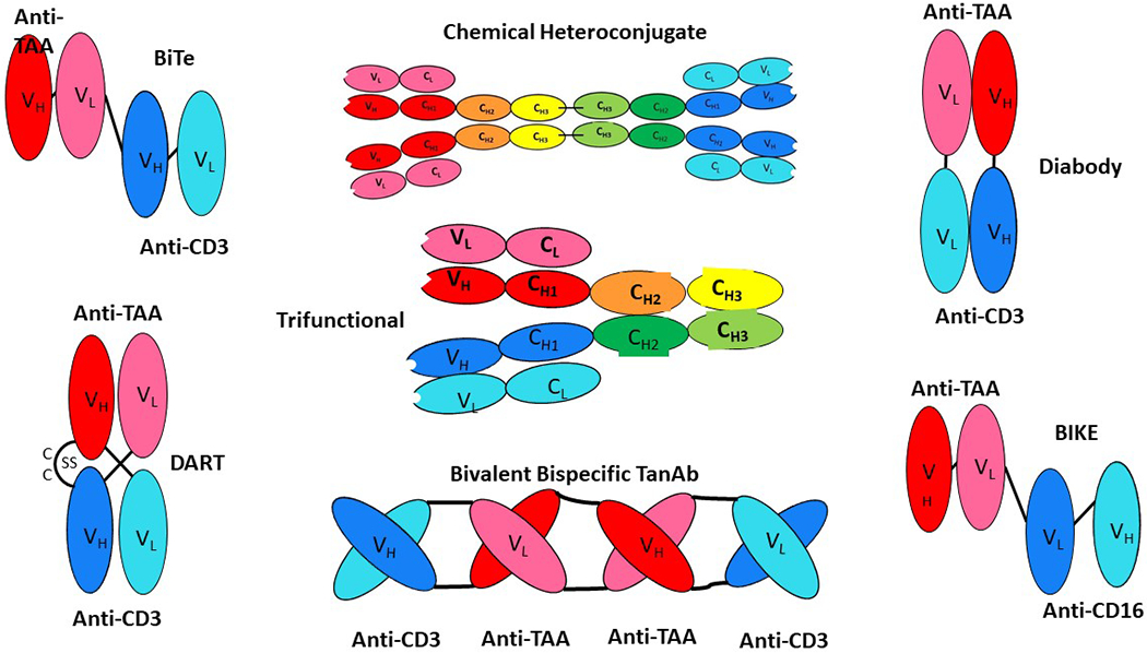 Figure 2: