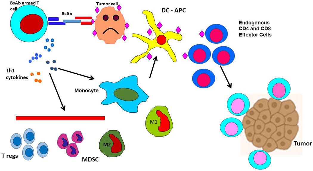 Figure 3: