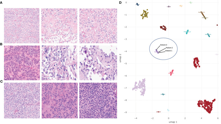 Figure 2