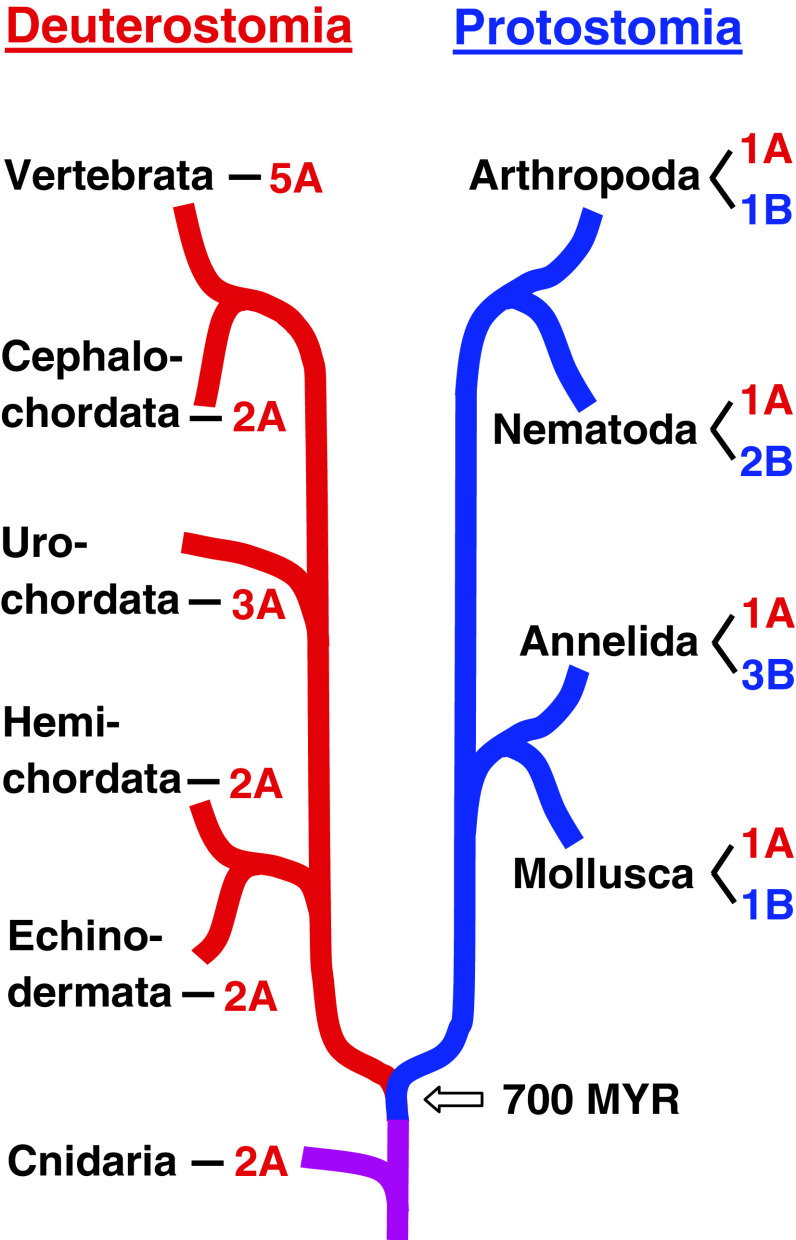 Fig. 6