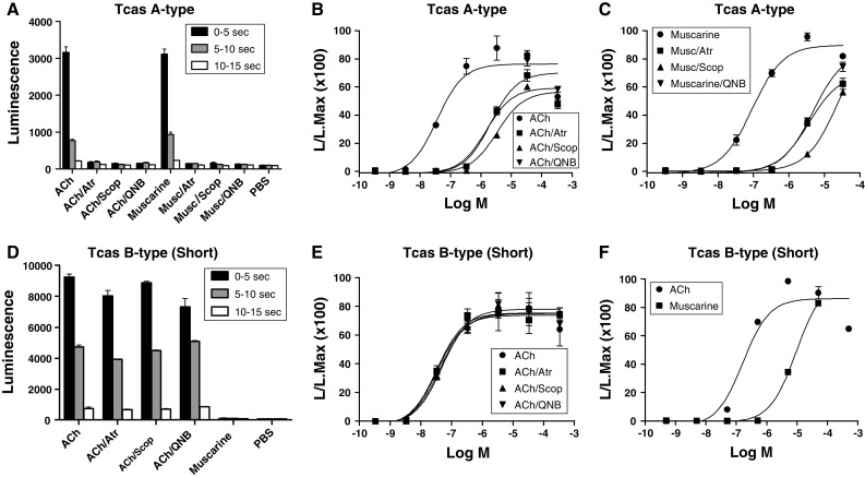 Fig. 2