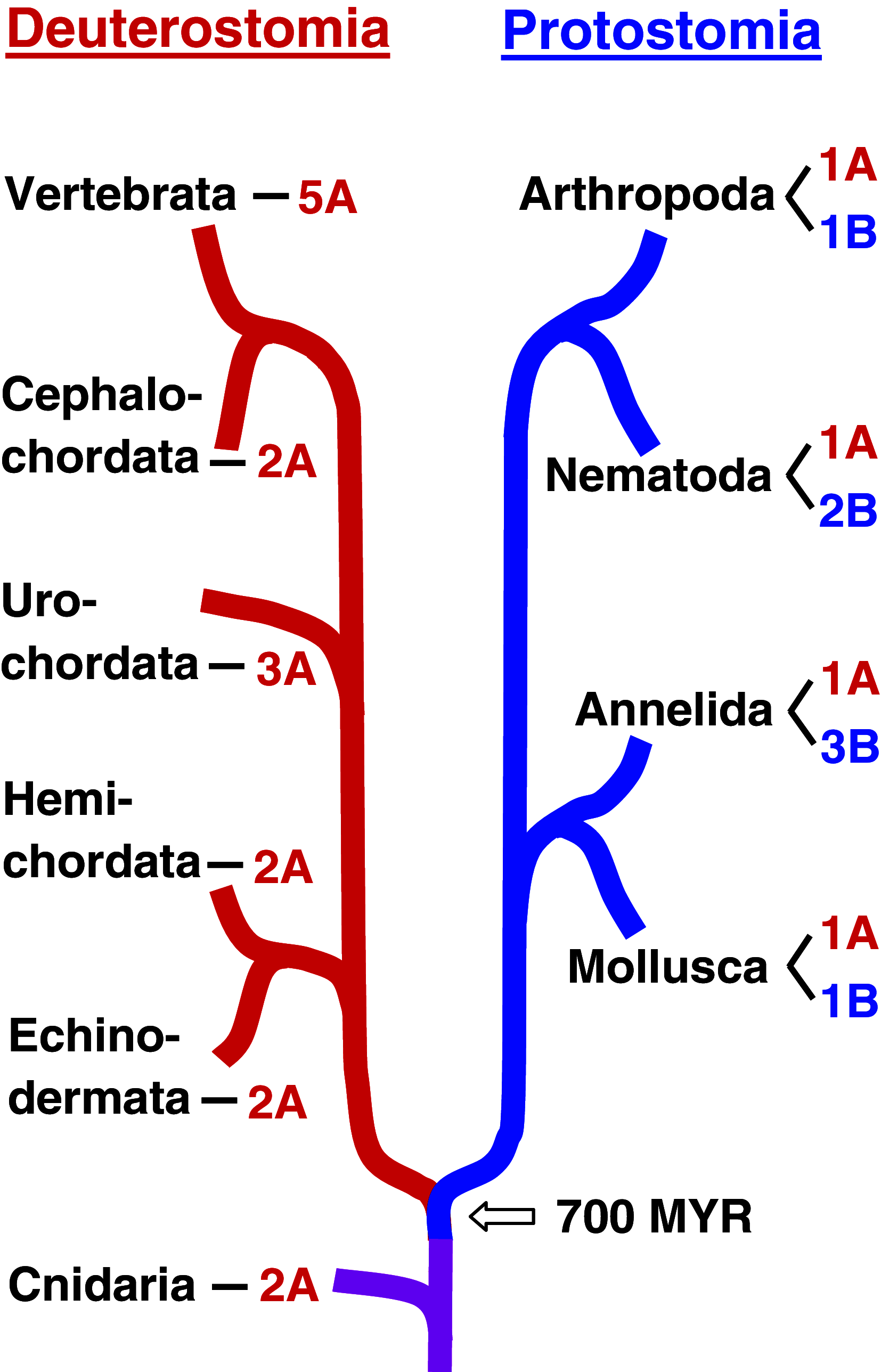 Fig. 6