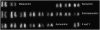 F<sc>igure</sc> 3.—
