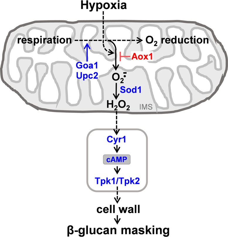 FIG 10