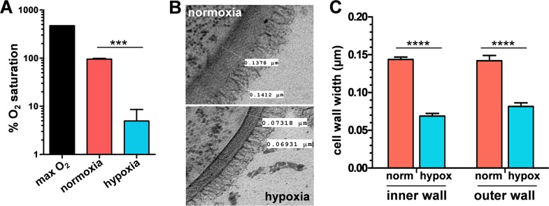 FIG 1