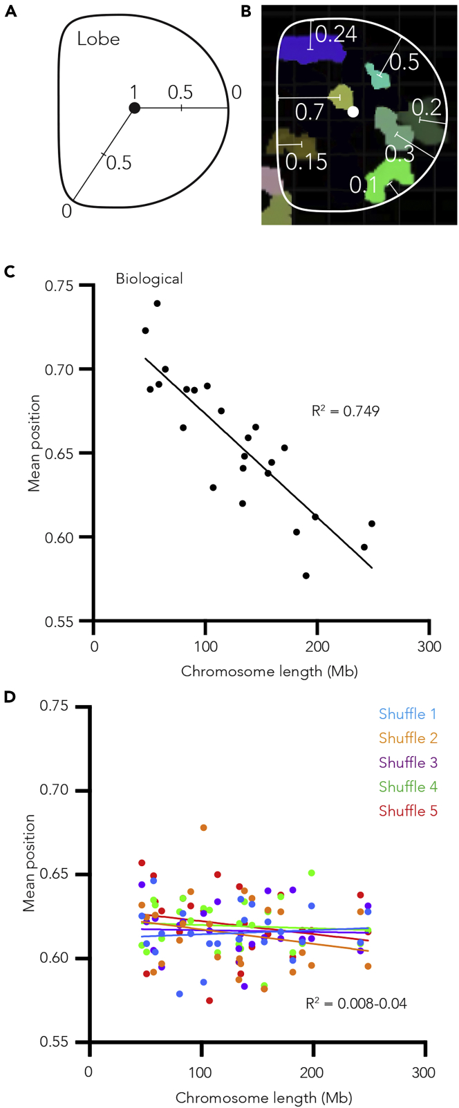 Figure 3