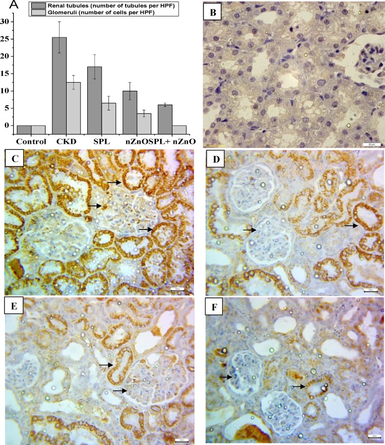 Figure 6.