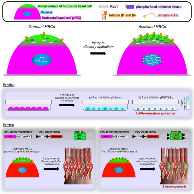 graphic file with name fx1.jpg