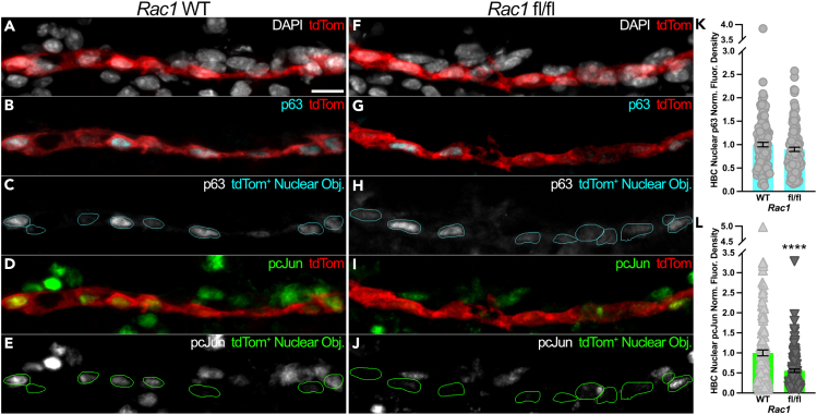 Figure 5