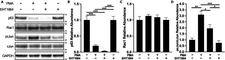 Figure 3